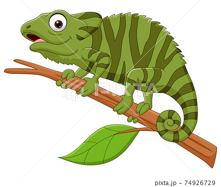 Cartoon Green Chameleon On Tree Branchのイラスト素材