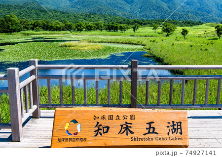 北海道 知床半島　夏の知床五湖（一湖） 74927141