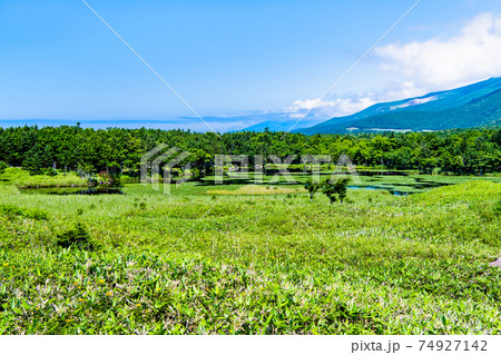 北海道 知床半島　夏の知床五湖（一湖） 74927142