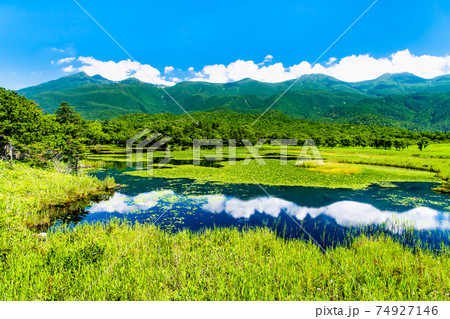 北海道 知床半島　夏の知床五湖（一湖と知床連山） 74927146