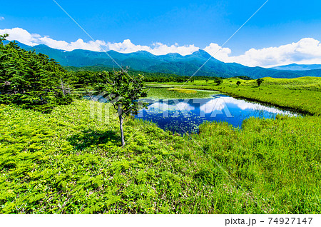 北海道 知床半島　夏の知床五湖（一湖と知床連山） 74927147
