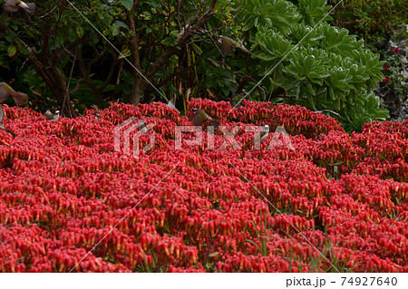 三天御座より 74927640