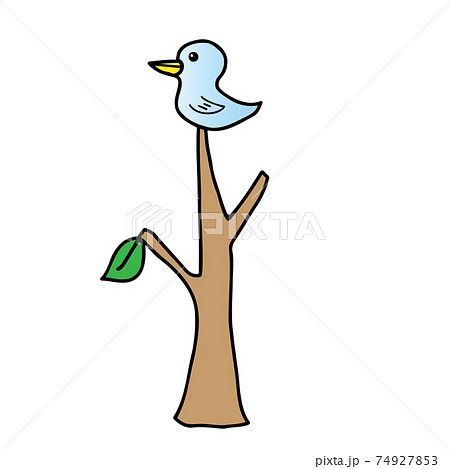 木のてっぺんに止まった鳥　 74927853