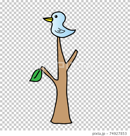 木のてっぺんに止まった鳥　 74927853