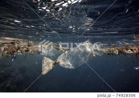 Plastic bag drifting over coral reef underwater 74928306