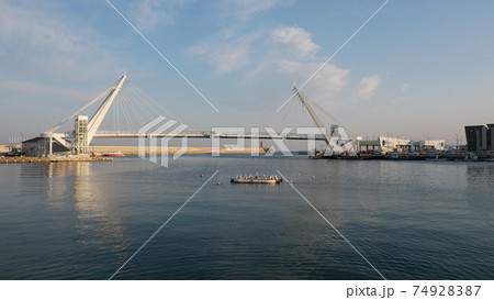海 カモメ 東海岸 74928387