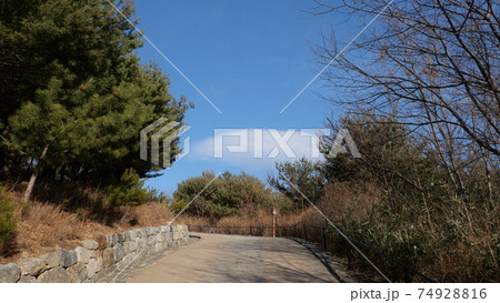 江原道 洛山寺 襄陽 74928816