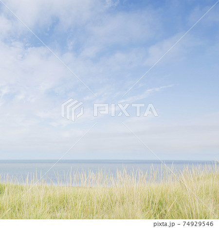 Grass on dunes and sea 74929546
