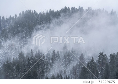 USA, Idaho, Cascade, Clouds and fog over forest in Cascade Range 74929675