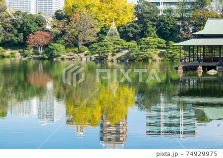 東京都 江東区 清澄庭園 大泉水と中の島 秋の風景 都措定名勝 東京都 江東区 清澄庭園 大泉水と中の島 秋の風景 都措定名勝 74929975
