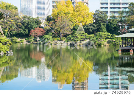 東京都 江東区 清澄庭園 大泉水と中の島 秋の風景 都措定名勝 東京都 江東区 清澄庭園 大泉水と中の島 秋の風景 都措定名勝 74929976