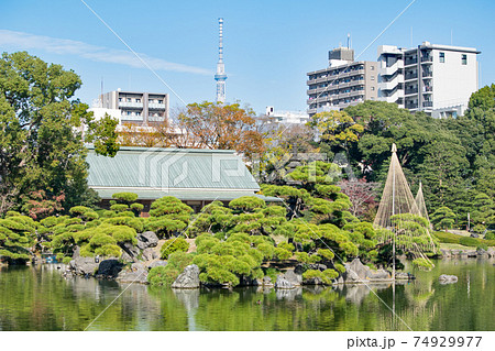 東京都 江東区 清澄庭園 傘亭と東京スカイツリー 秋の風景 都措定名勝 東京都 江東区 清澄庭園 傘亭と東京スカイツリー 秋の風景 都措定名勝 74929977