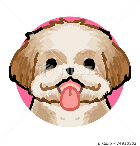 シーズーの手描きイラスト 犬のアイコンのイラスト素材