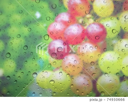 Close-up of water drops on glass surface as background Close-up of water drops on glass surface as background 74930666