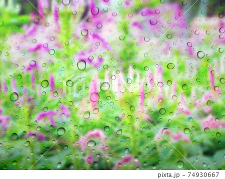 Close-up of water drops on glass surface as background 74930667