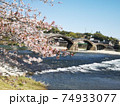 五橋と桜と錦川 74933077