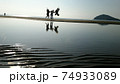 父母ヶ浜　ジャンプ 74933089