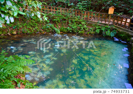 八重垣神社　鏡の池　神池　松江市 74933731