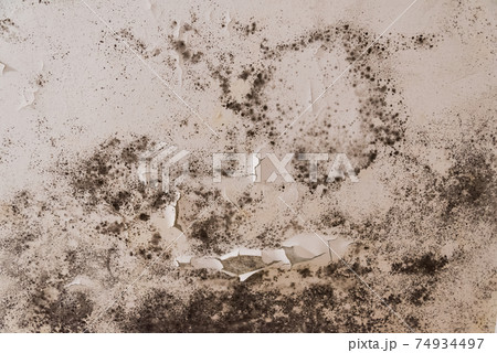 Black mold and mildew spots on the ceiling or wall due to poor air ventilation and high humidity. Harm to health. 74934497