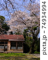 桜と小学校 絶景 廃校 レトロ 卒業式 入学式 セピア 学校 春 満開 千葉県 74934994
