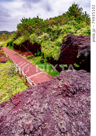 伊豆七島の伊豆大島の東京都大島町元町にある赤禿 74935102
