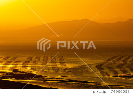 有明海の朝日3 74936032