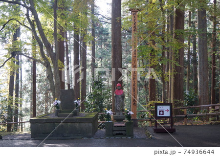 中尊寺金色堂 74936644