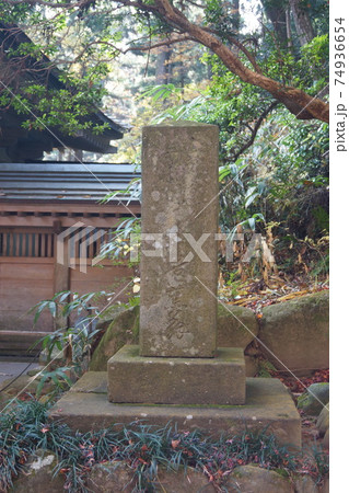 中尊寺金色堂 74936654