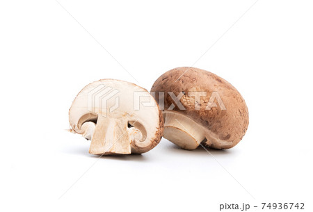 Fresh champignon mushrooms isolated on white background 74936742