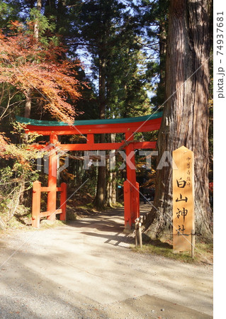 中尊寺白山神社 74937681