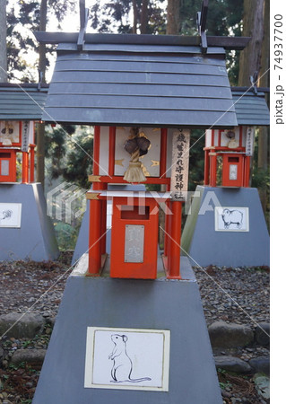 中尊寺白山神社 中尊寺白山神社 74937700