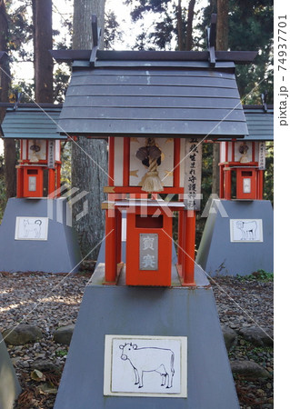 中尊寺白山神社 74937701