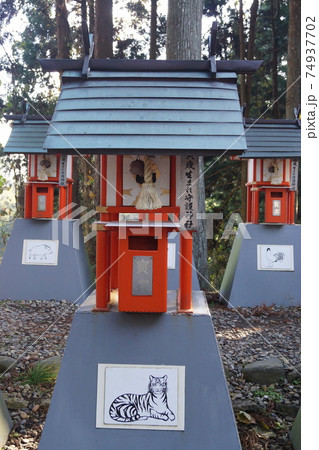 中尊寺白山神社 74937702