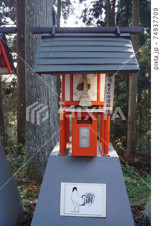 中尊寺白山神社 74937709