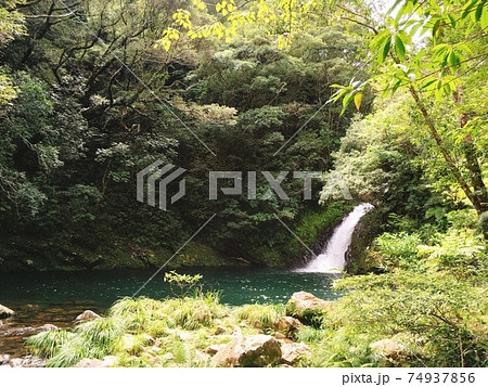 【奄美大島】世界自然遺産候補の森の中にあるマテリヤの滝 【奄美大島】世界自然遺産候補の森の中にあるマテリヤの滝 74937856