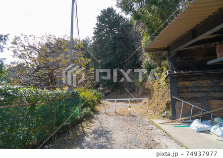 比叡山の登山口(比叡山坂本駅側) 比叡山の登山口(比叡山坂本駅側) 74937977