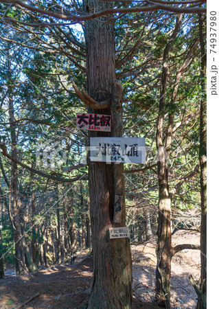 比叡山の山頂（大比叡） 74937980