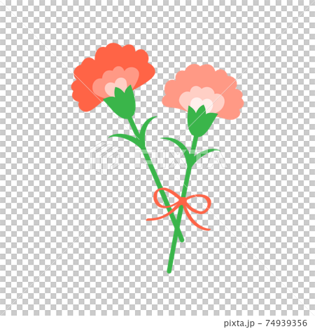 Illustration of carnation with ribbon tied 74939356