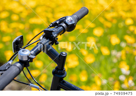 お花畑の上に自転車のハンドル お花畑の上に自転車のハンドル 74939475