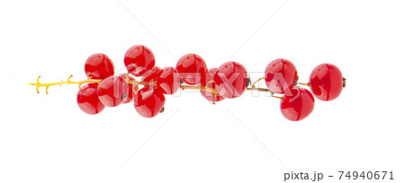 Red currant berries an isolated on White Background Red currant berries an isolated on White Background 74940671