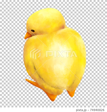 何かを見ているひよこ　水彩　手描き 74940826