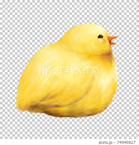 座っているひよこ　水彩　手描き 74940827