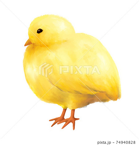 立っているひよこ　水彩　手描き 74940828