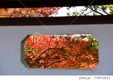 枡形山展望台 枡形山展望台 74941831