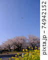 絶景 菜の花と飛行機 青空 成田空港 さくらの山 空の駅 春 散歩 74942152