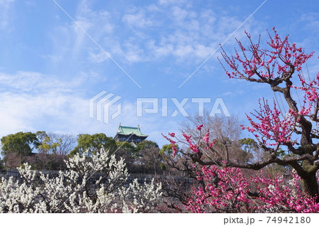 大阪城公園の梅林 74942180