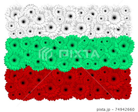 Bulgarian flag made of gerbera flowers Bulgarian flag made of gerbera flowers 74942660