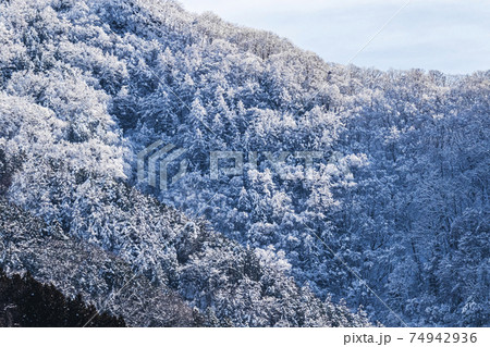 冠雪した奥多摩の山間　冬景色　1月 74942936