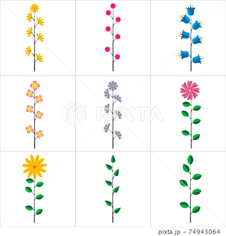 set of brushes from flowers and leaves for your design. Isolated on a white background. 74943064