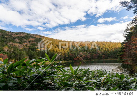 紅葉する北八ヶ岳 双子池の写真素材